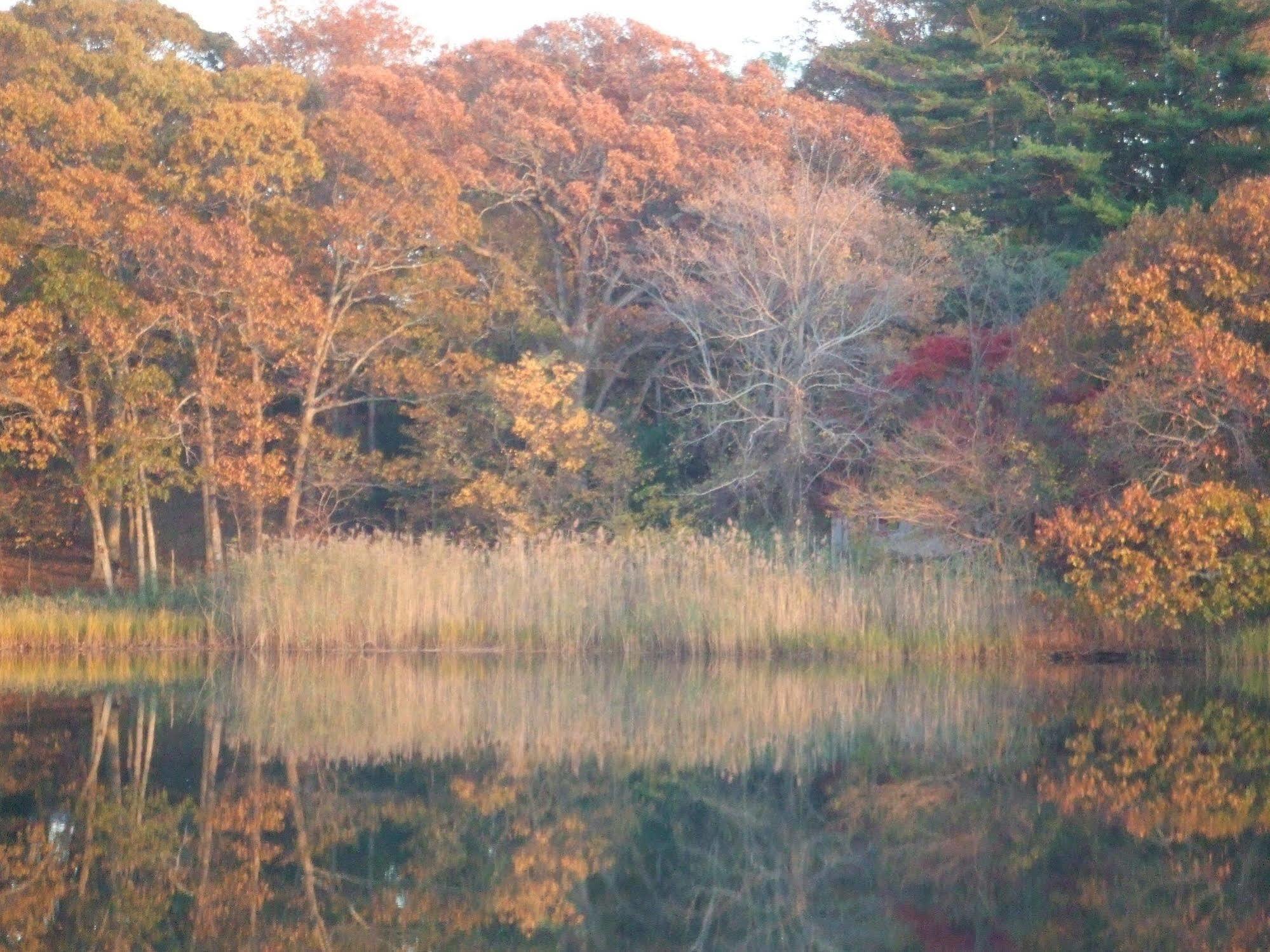 Bed and Breakfast House On Chase Creek Shelter Island Heights Esterno foto