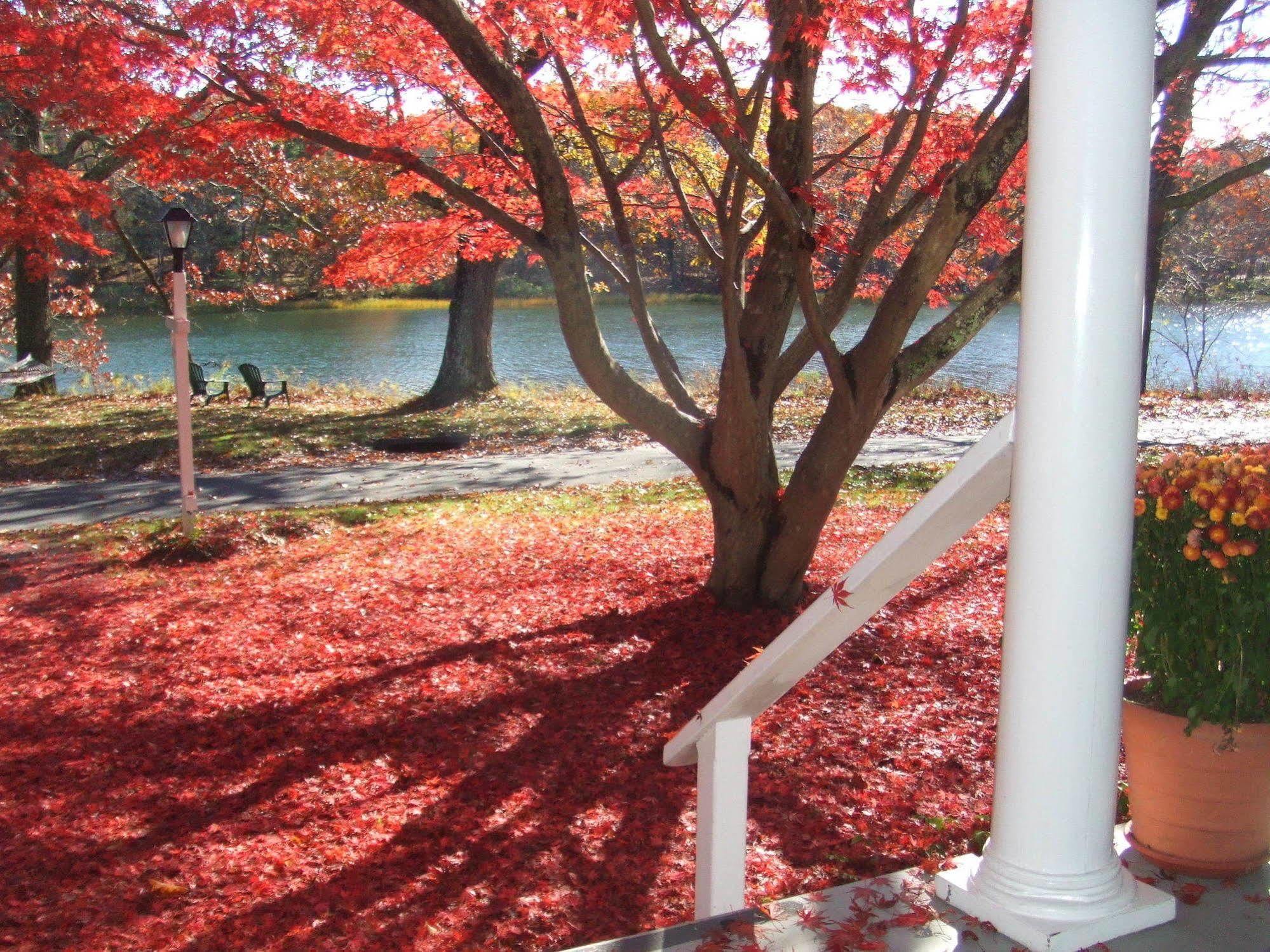 Bed and Breakfast House On Chase Creek Shelter Island Heights Esterno foto